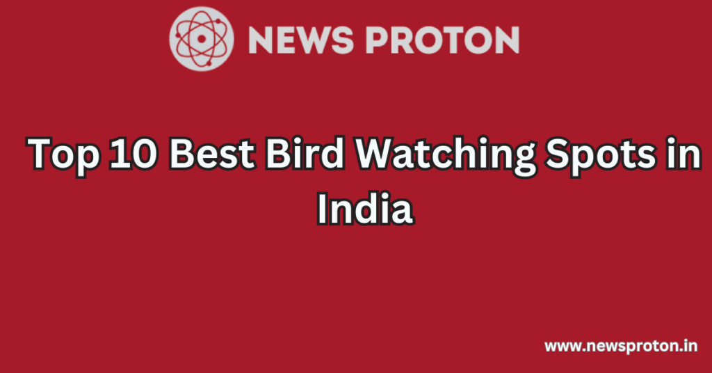 Top 10 Best Bird Watching Spots in India