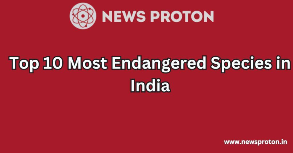 Top 10 Most Endangered Species in India