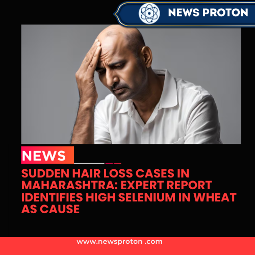 Sudden Hair Loss Cases in Maharashtra: Expert Report Identifies High Selenium in Wheat as Cause